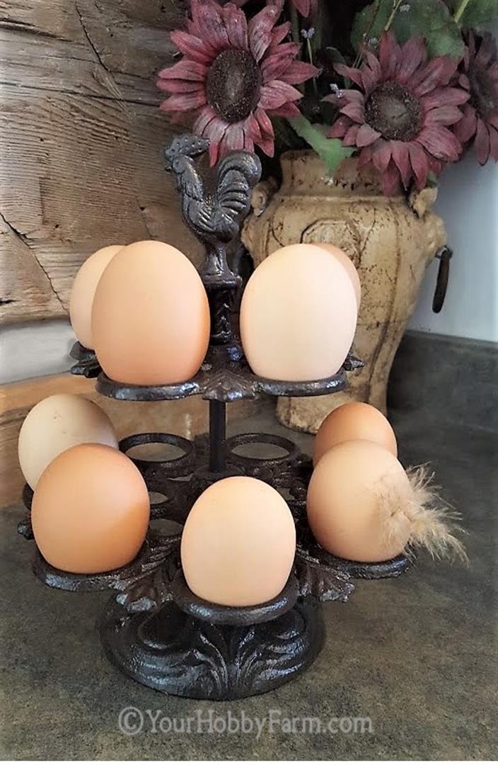 Vintage Cast Iron Egg Holder